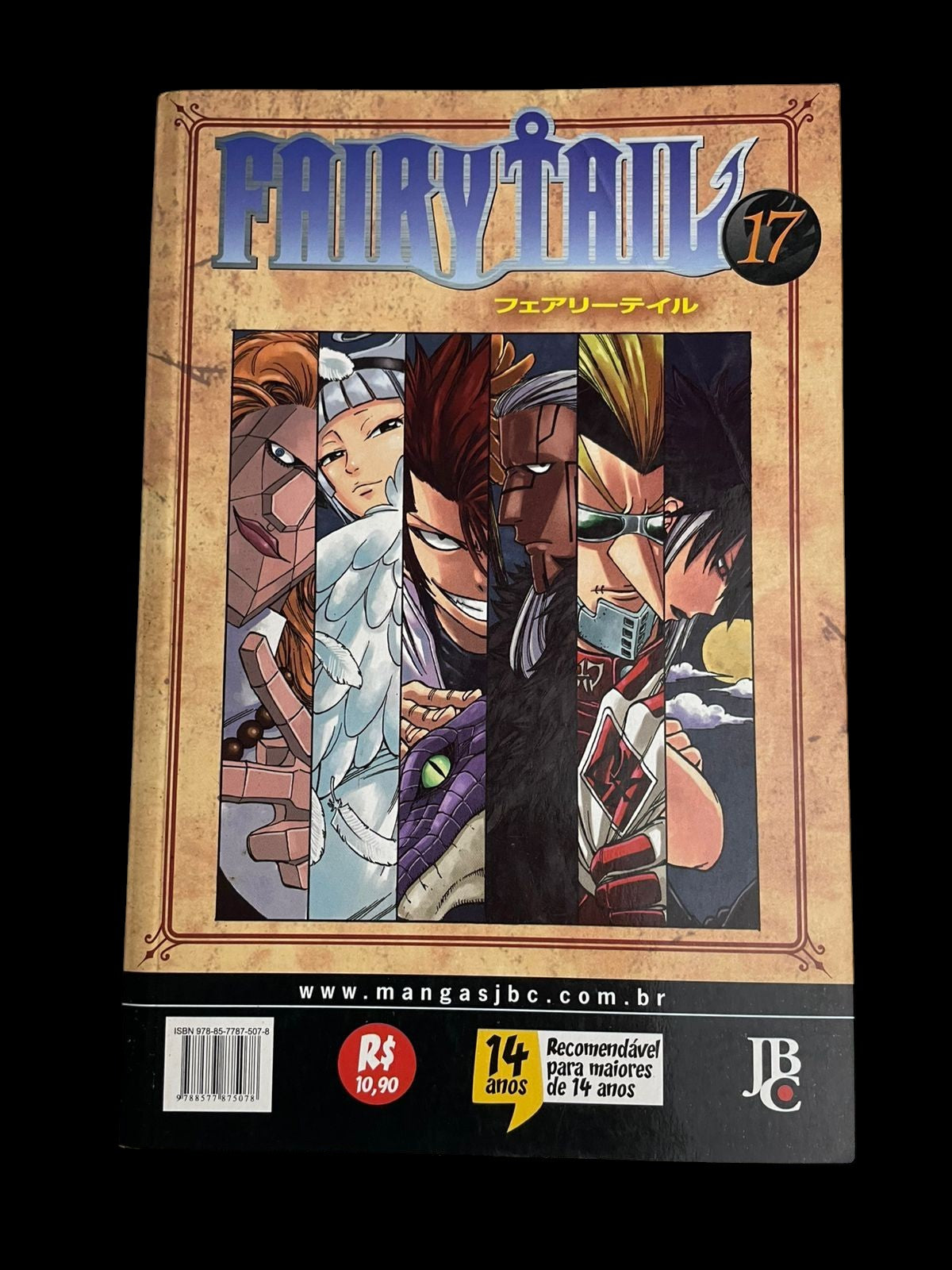 Mangá Fairy Tail Vol 17