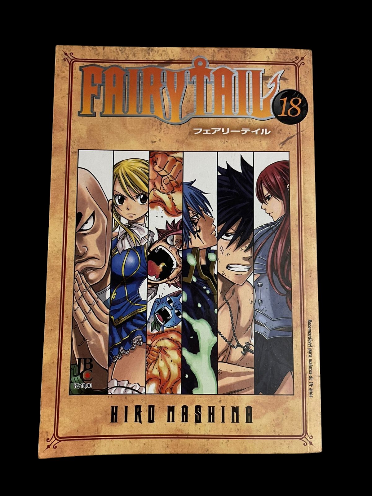 Mangá Fairy Tail Vol 18