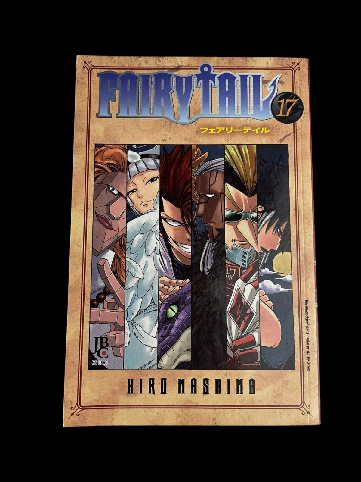Mangá Fairy Tail Vol 17