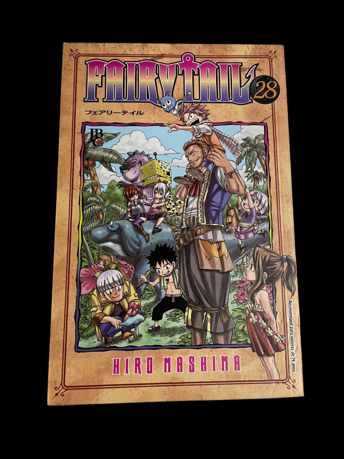 Mangá Fairy Tail Vol 28