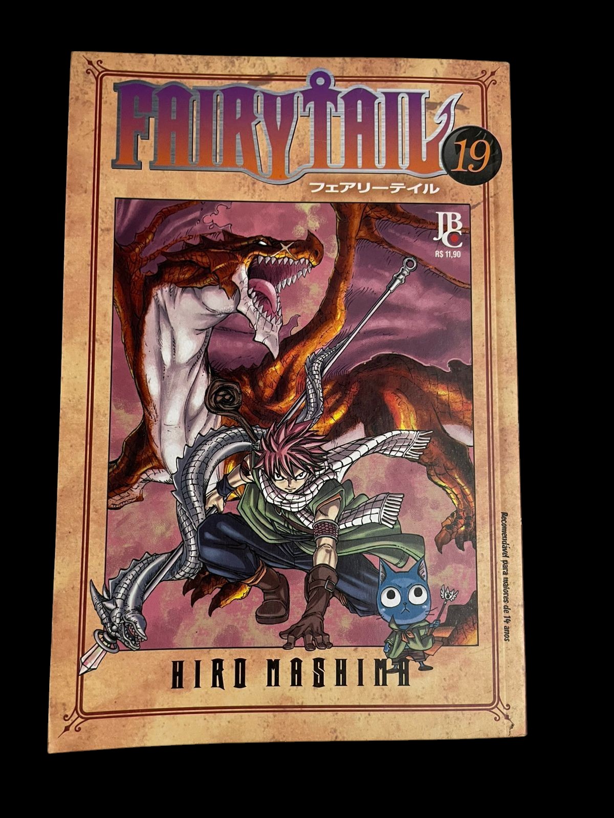 Mangá Fairy Tail Vol 19