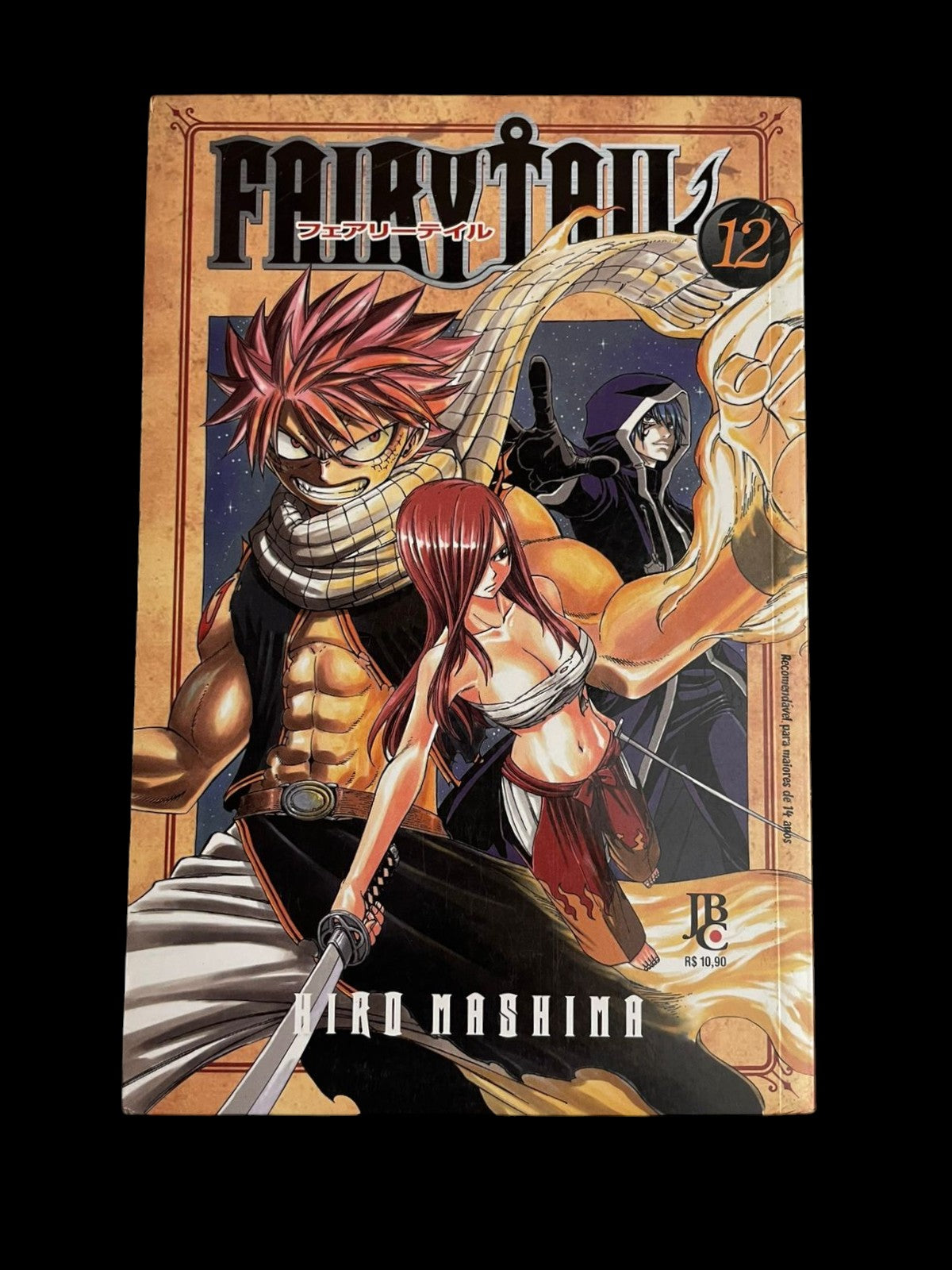 Mangá Fairy Tail Vol 12