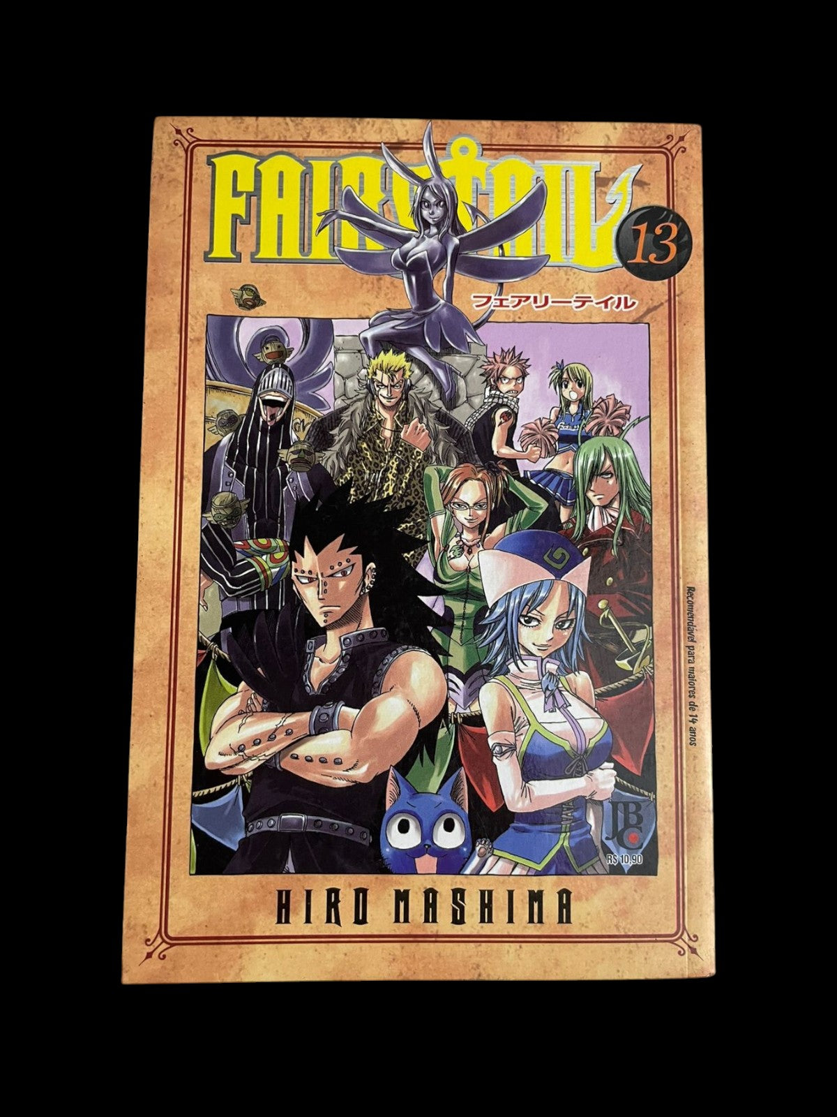 Mangá Fairy Tail Vol 13