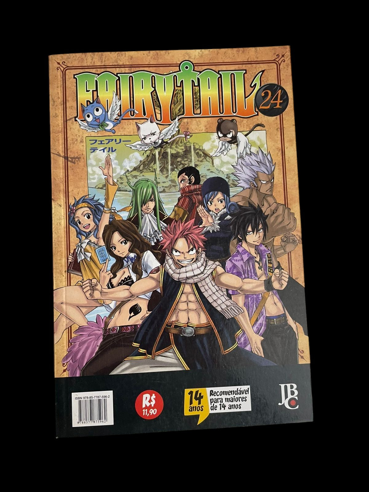 Mangá Fairy Tail Vol 24