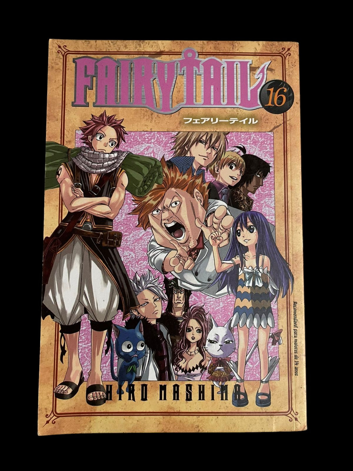 Mangá Fairy Tail Vol 16