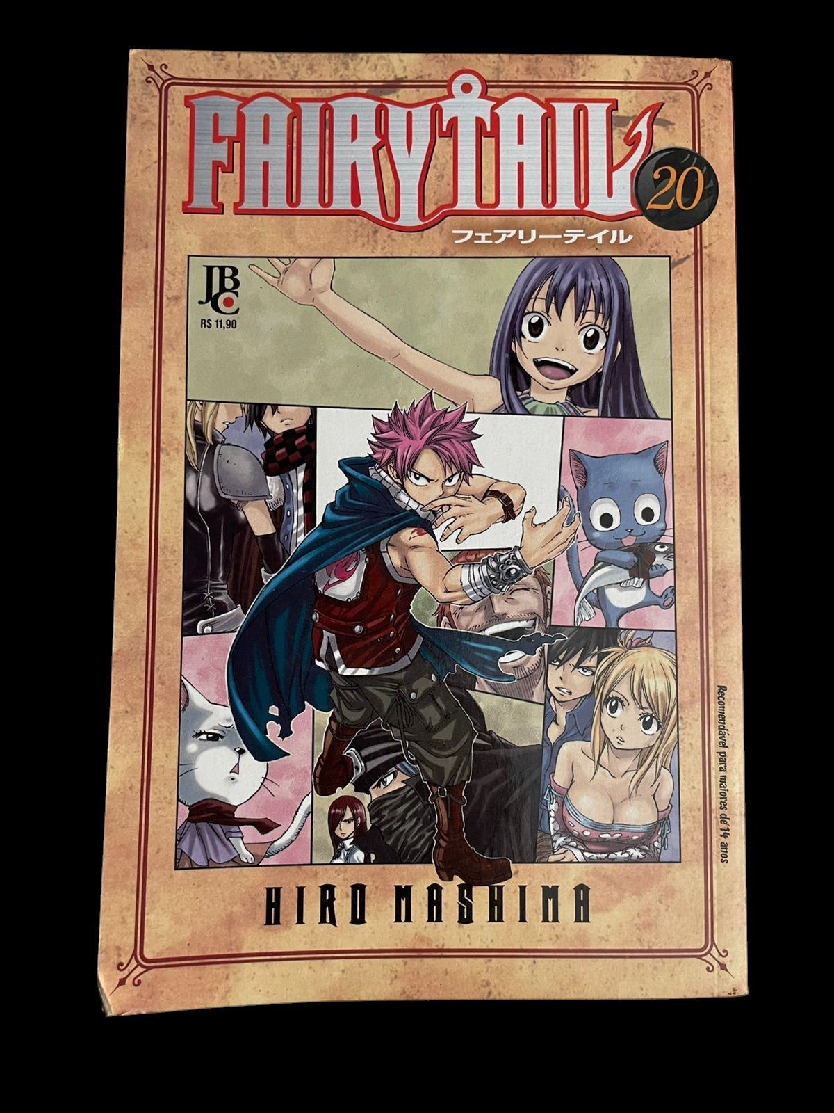 Mangá Fairy Tail Vol 20