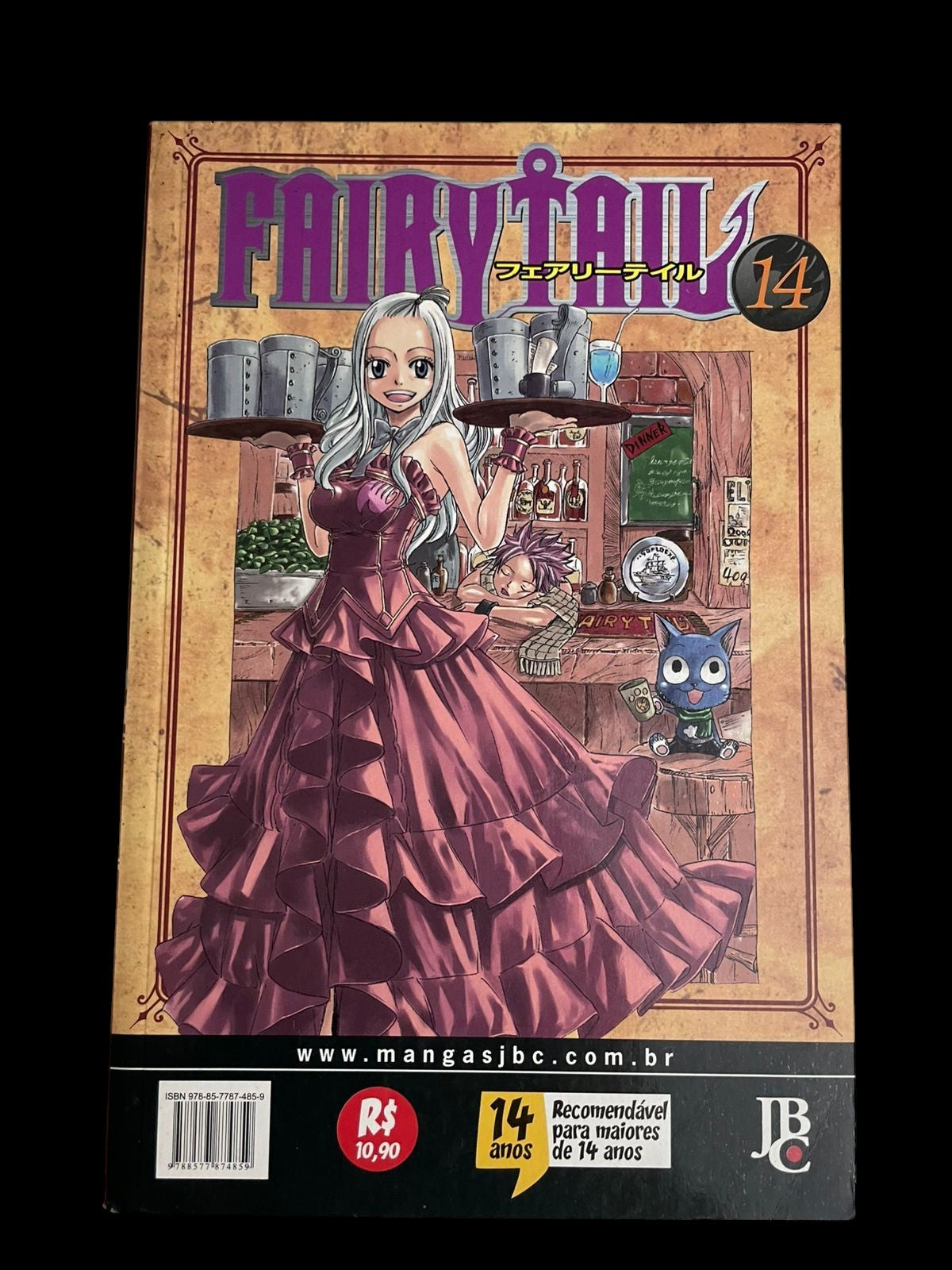 Mangá Fairy Tail Vol 14