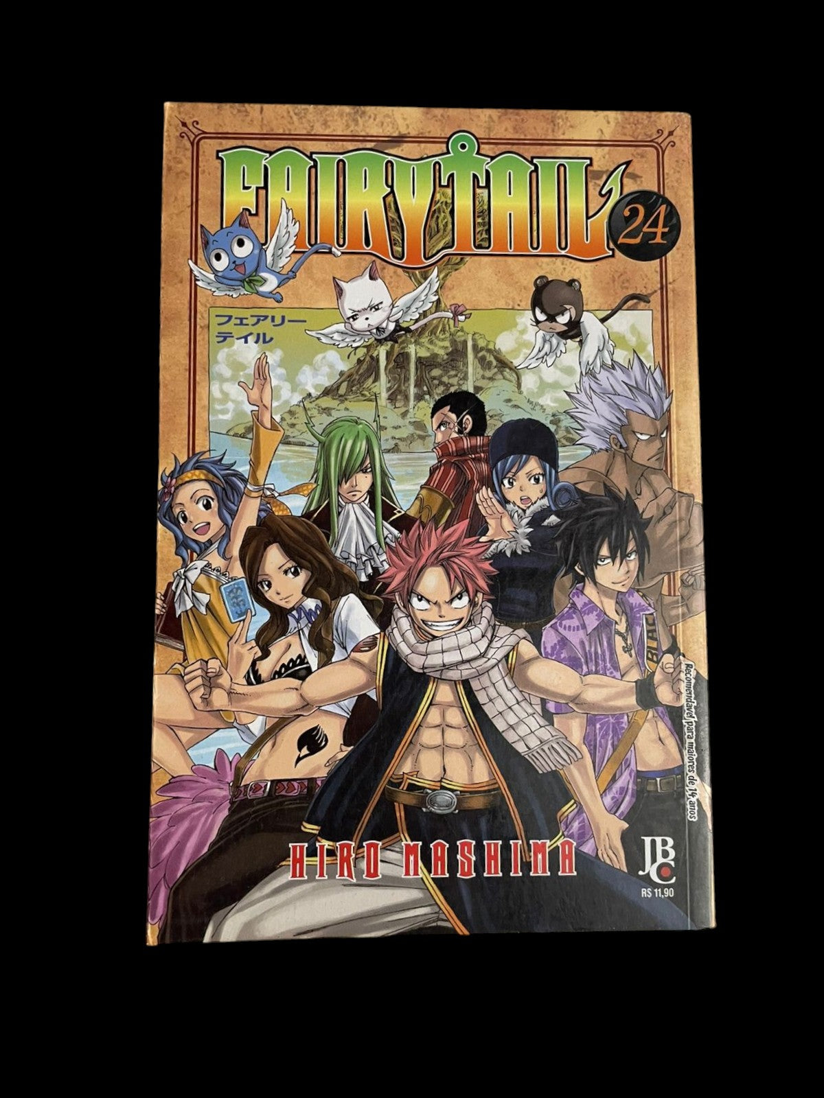 Mangá Fairy Tail Vol 24