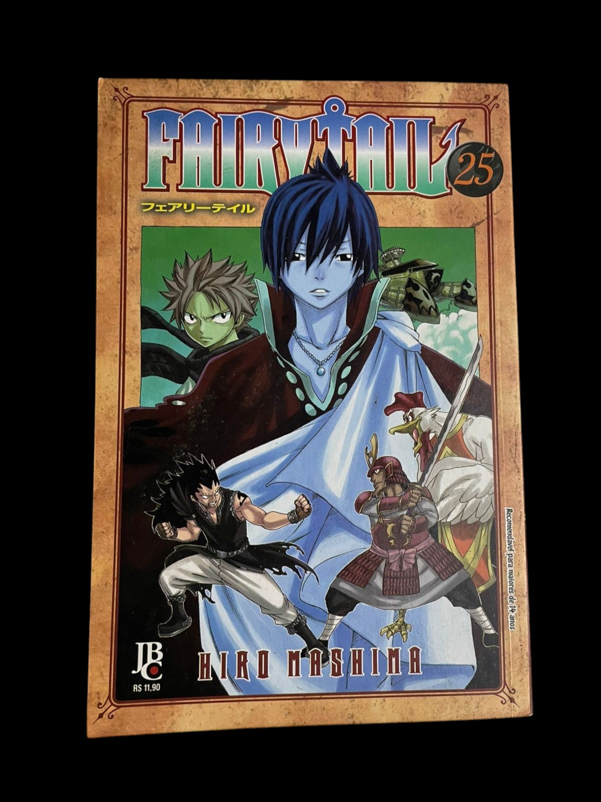 Mangá Fairy Tail Vol 25