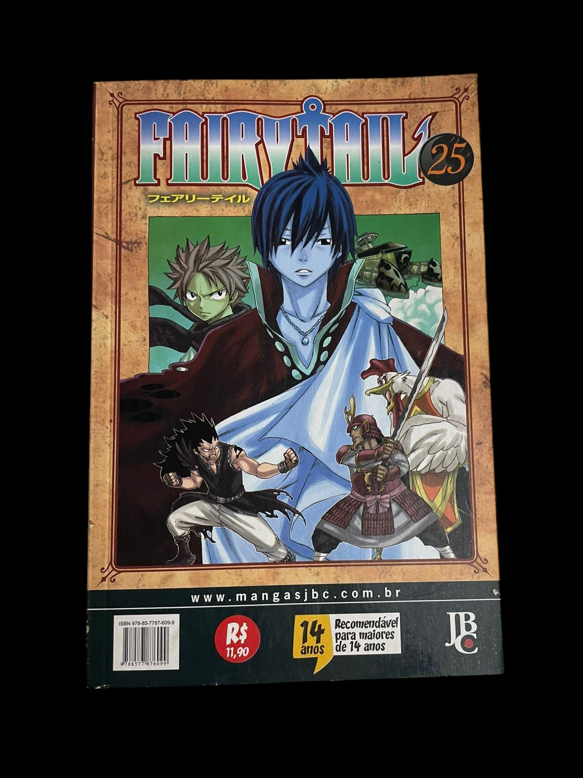 Mangá Fairy Tail Vol 25