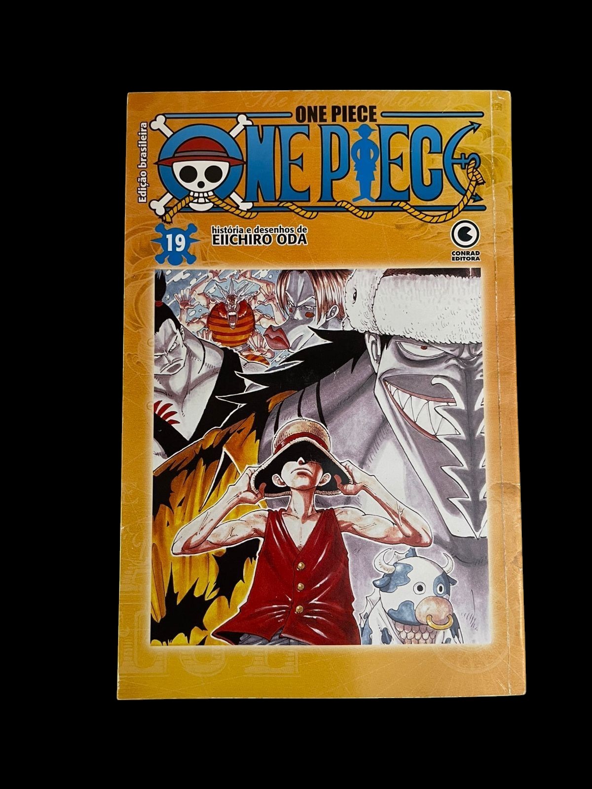 Mangá One Piece Vol 19